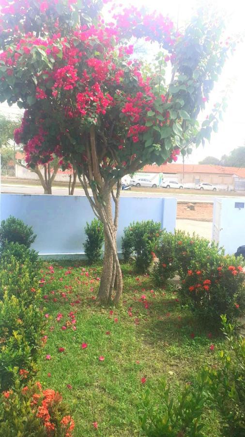 Casa Recanto Dos Cangaceiros 皮拉尼亚斯 外观 照片